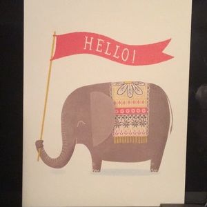 Meet your Posher, Ann